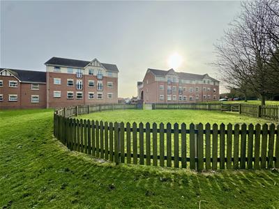 Picture 25